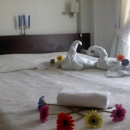 Hotel елица 3*