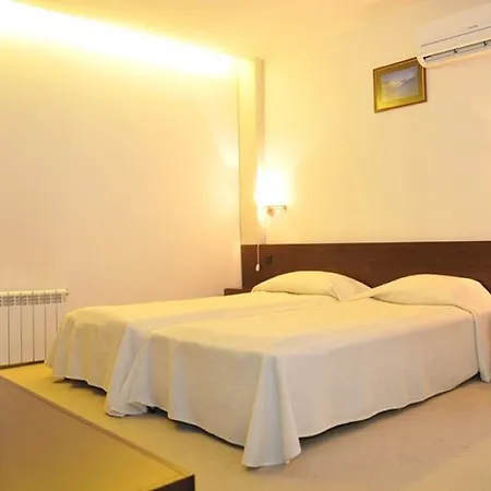 елица 반스코