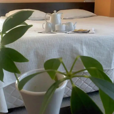 елица 3* בנסקו