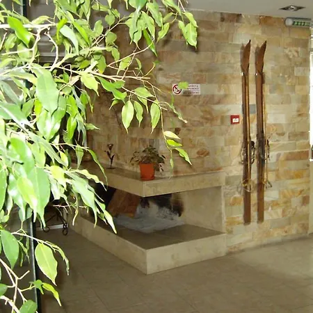 елица מלון בנסקו