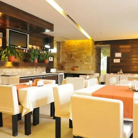 елица Hotell