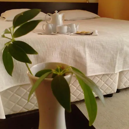 Отель елица