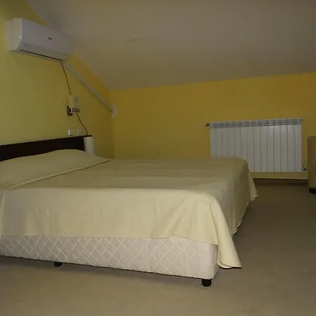 елица בנסקו